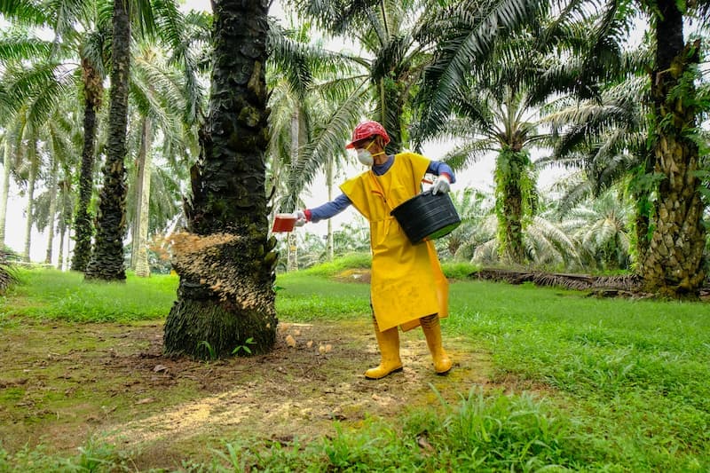 Planes Nutricionales